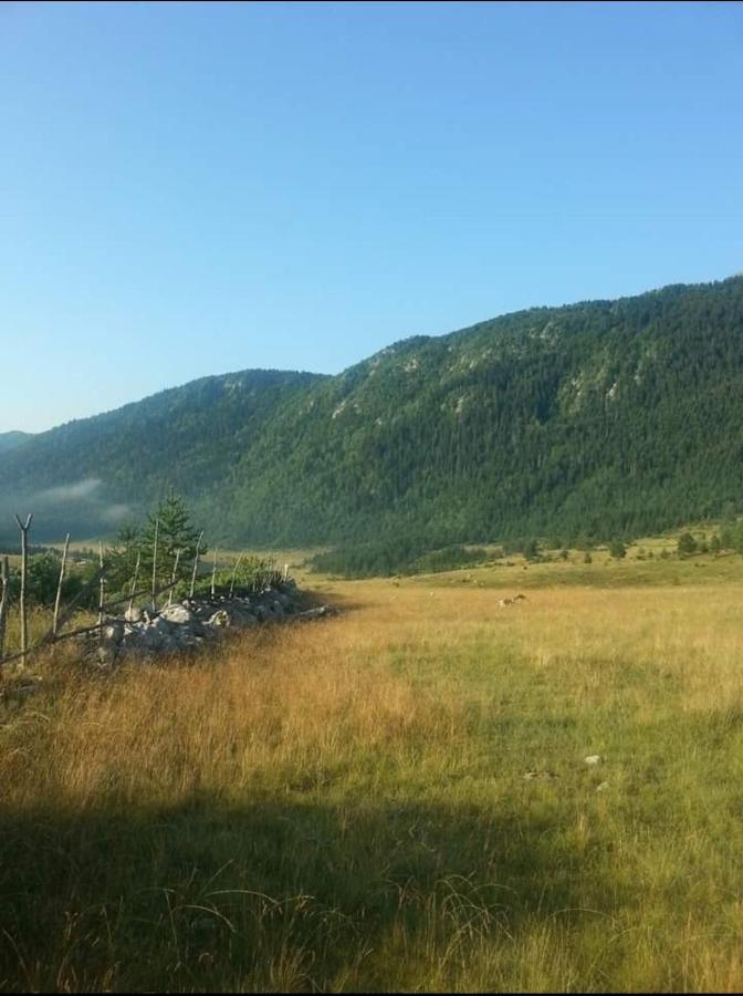 Mountain Peace Cottage Žabljak Extérieur photo