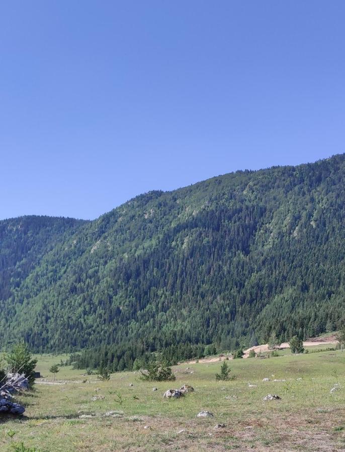 Mountain Peace Cottage Žabljak Extérieur photo